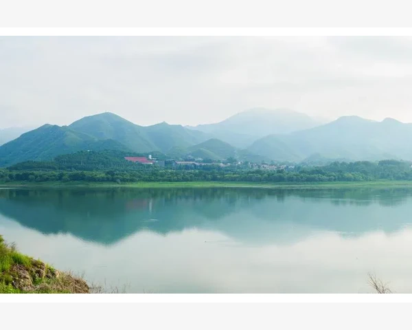 全能会计师养成必备核心能力