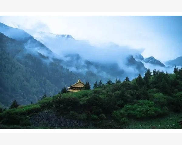 咳嗽时吃水果能否止咳化痰?